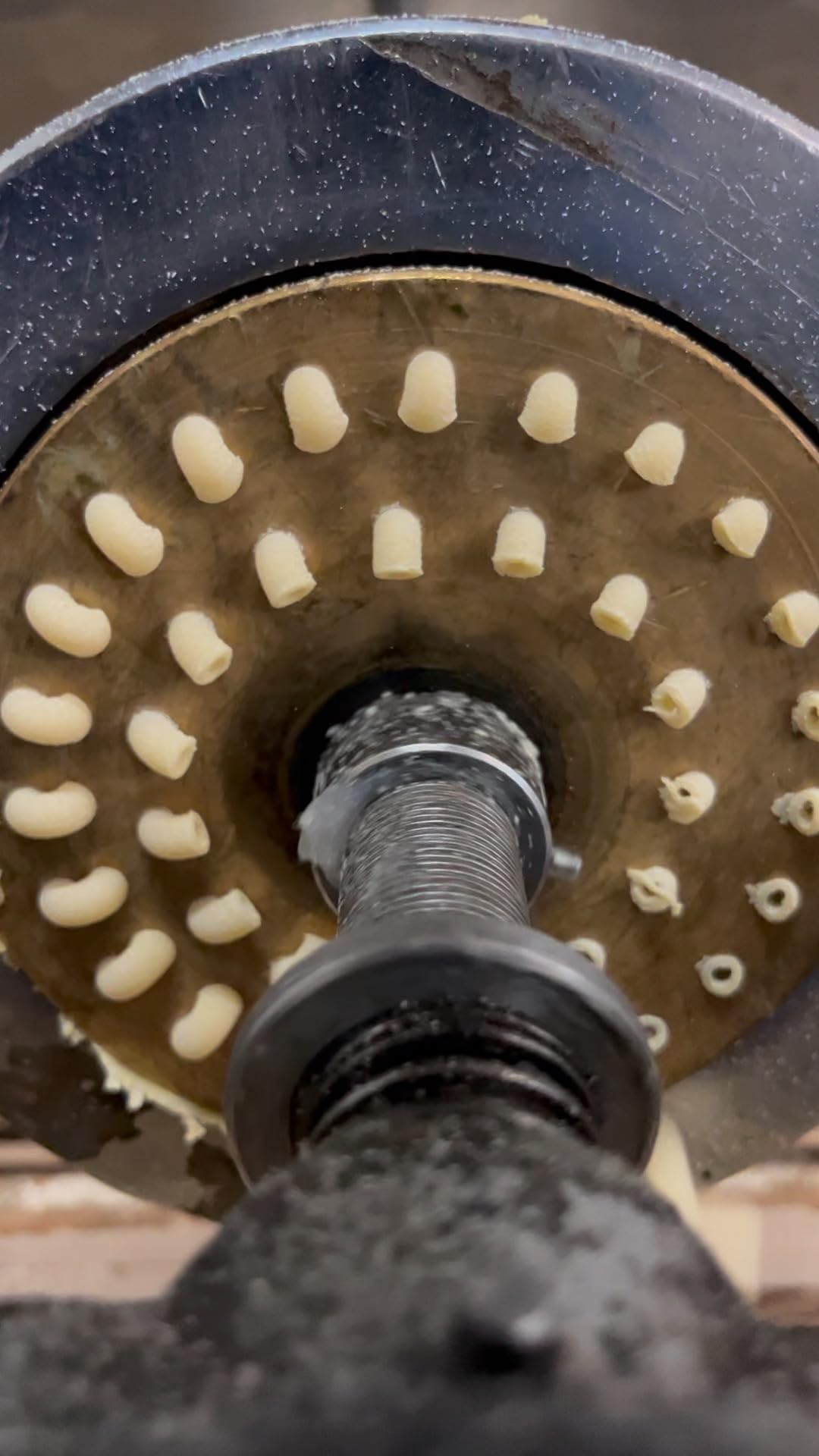 Eduardo's Pasta Co. Elbow Macaroni, Artisanal Egg Pasta, 12 oz., Made in Small Batches in San Francisco