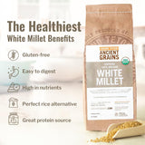 100% Organic White Millet by Grand Teton Ancient Grains | Shelled, Gluten-Free, Hulled Grain for Salads, Pilafs, & Soups | Whole Grain Ready for Milling, (5 Pounds)