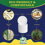 Bright Habits 10” Compostable Plates, 125-Pack | Biodegradable Sugarcane | Sturdy, Microwave-Safe Disposable Plates for Parties & Events