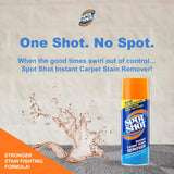Spot Shot Instant Carpet Stain Remover, Aerosol, 14 OZ
