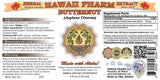 Hawaii Pharm Butternut (Juglans Cinerea) Liquid Extract 4 Oz (120ml)