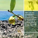 Frutos Pachamama Organic Noni Juice 100% Pure - Raw Ozonated Noni Extract from Dominican Republic | Natural Superfood Drink | Immune Booster