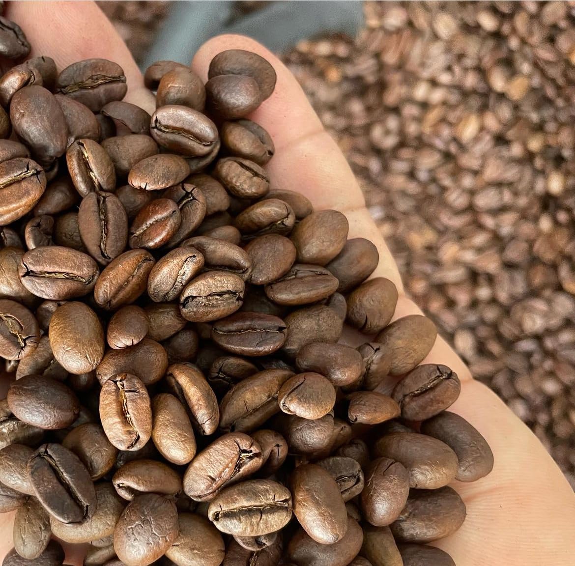 Mont Coffee - Geisha Coffee Ecuador, Whole Bean, Fresh Rosted, Premium Ecuadorian Specialty Geisha Roasted Coffee Beans | Awarded 88+ (12oz