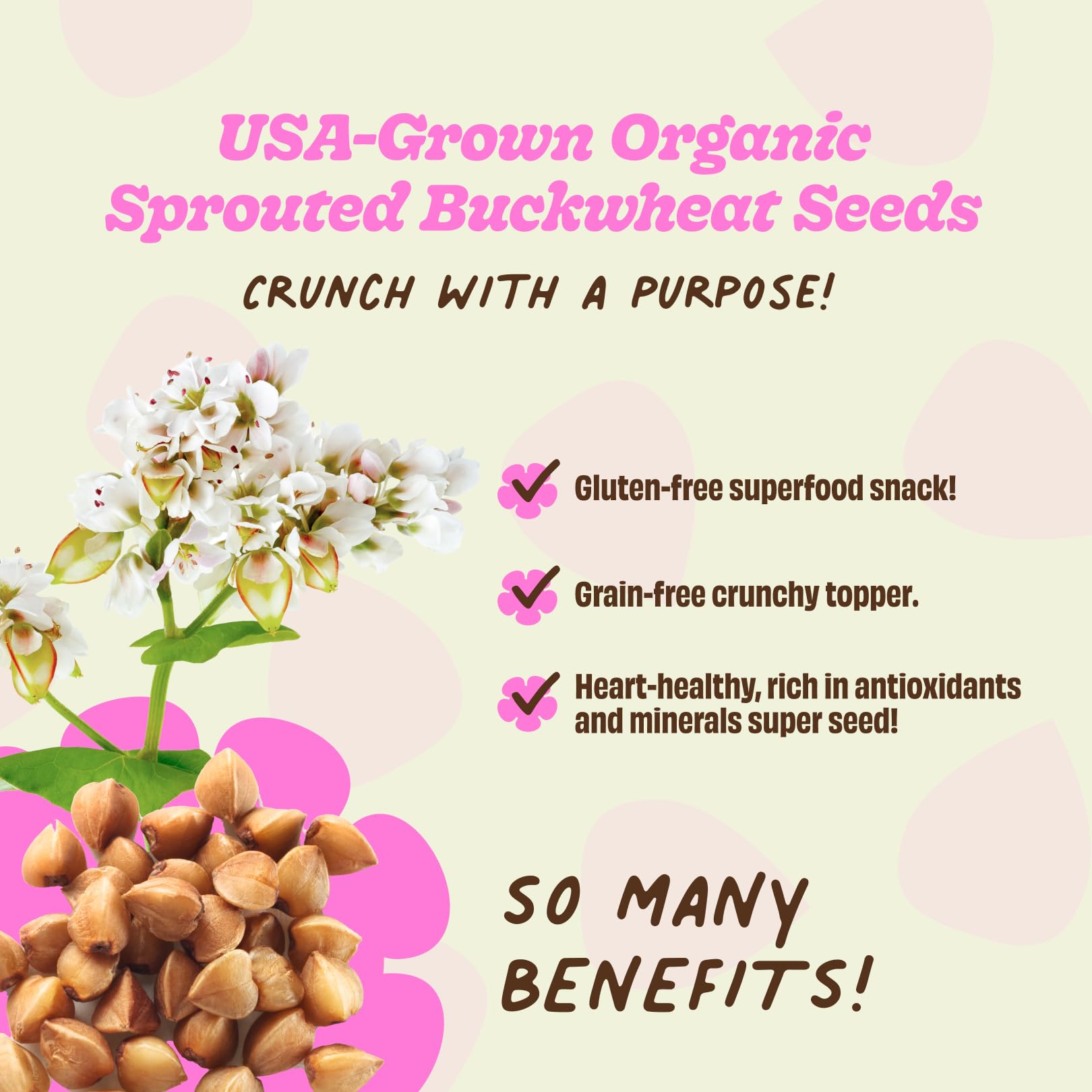 Lil Bucks Sprouted Regeneratively Grown Buckwheat Seeds- Paleo Cereal, Gluten-Free Granola, High in Protein, Low Sugar, Organic Superseed Crunch
