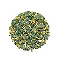 Jolly Ranchers Hard Candy 1.5lbs- All Green Apple Individually Wrapped Delicious Fresh Candy 1.5, 24oz (Packaging Might Vary)
