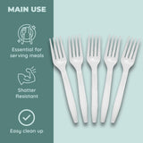 Disposable Clear Plastic Forks, Plastic Cutlery: Utensils for Parties, Picnics, Office Home & School - 300 Count