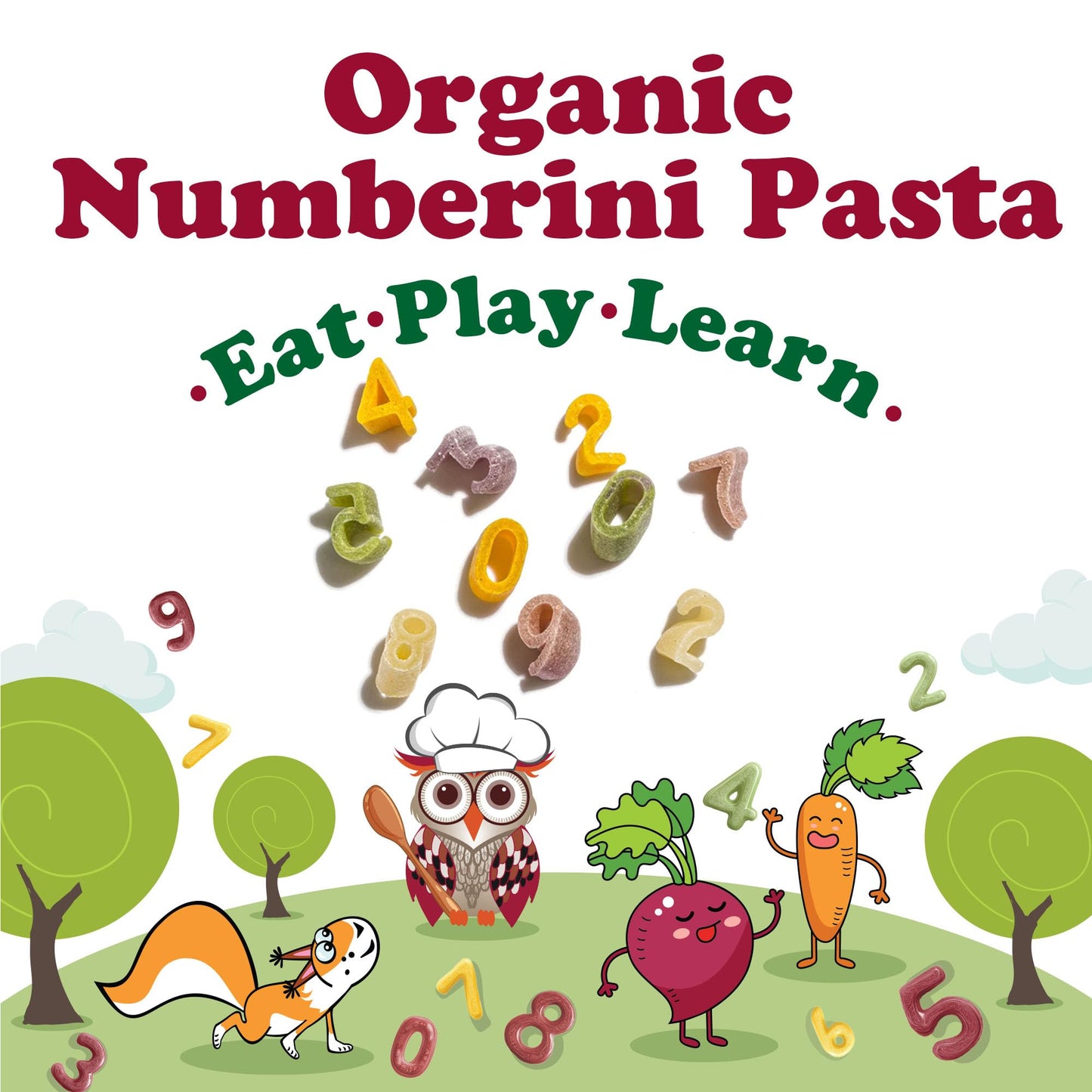 Food to Live Organic Numberini Pasta - Eat. Play. Learn, 8.8 oz (Pack of 1) - Multicolor Italian Fun Kid's Pasta, Made with Roots and Vegetables