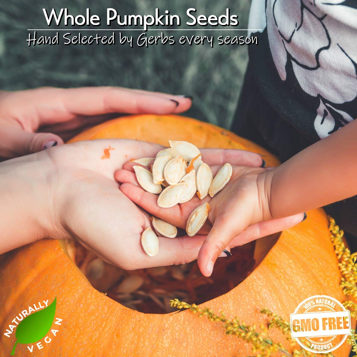 Sea Salted Roasted Pumpkin Seeds in Shell by Gerbs - 2 LBS - Top 11 Food Allergen Free & Non GMO - Premium Whole Pepitas, Product of USA