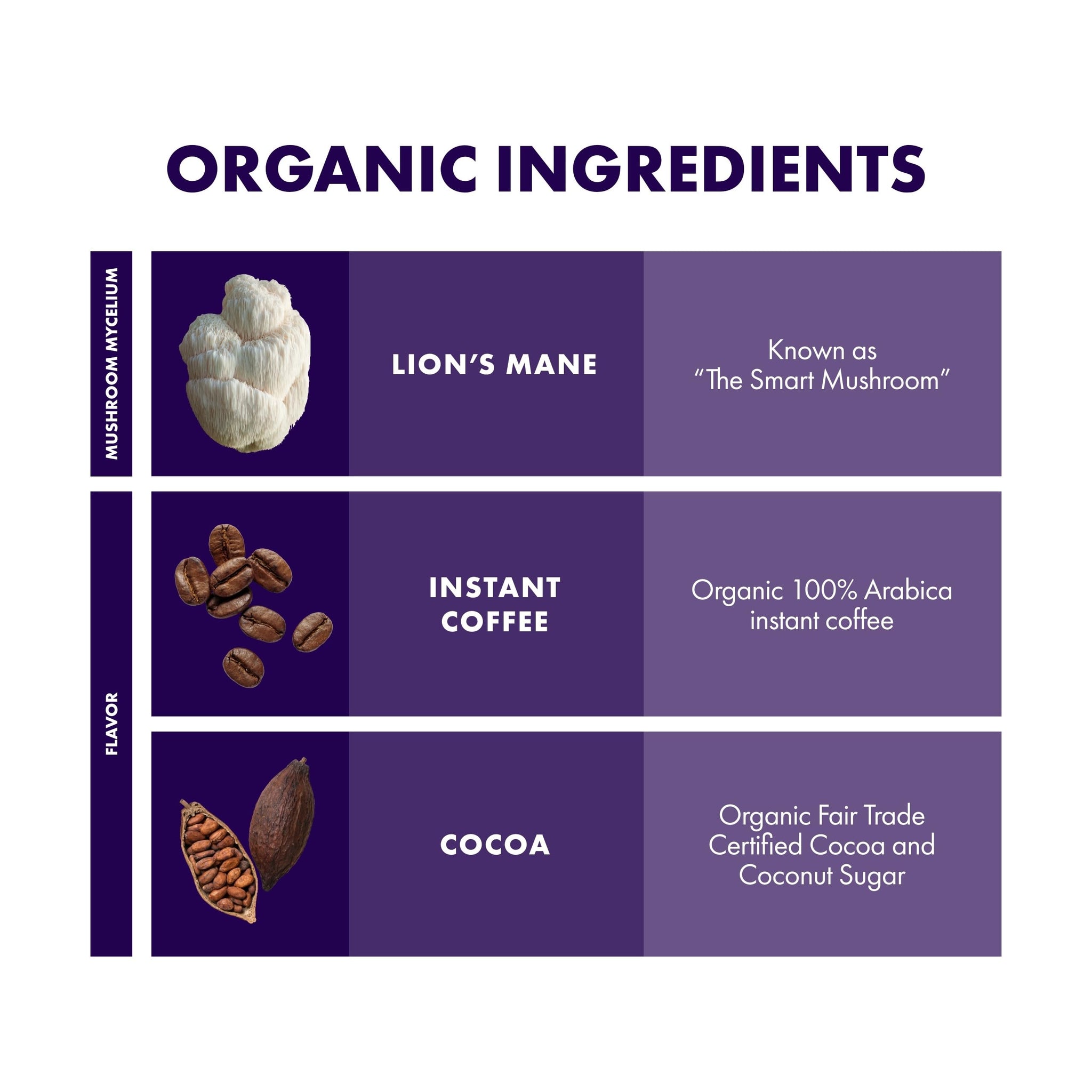 Host Defense MycoBrew Mocha - Mocha Drink Mix - Powder Includes Lion's Mane Mushroom - Drink Mix with Fair Trade Certified Cocoa & 100% Arabica