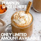 Sarasota Coffee Ground Packets | Gourmet Flavored Medium Roast Bulk Coffee Packs | Pumpkin Spice | Low Acid Mold Free Singles Individual Pouches