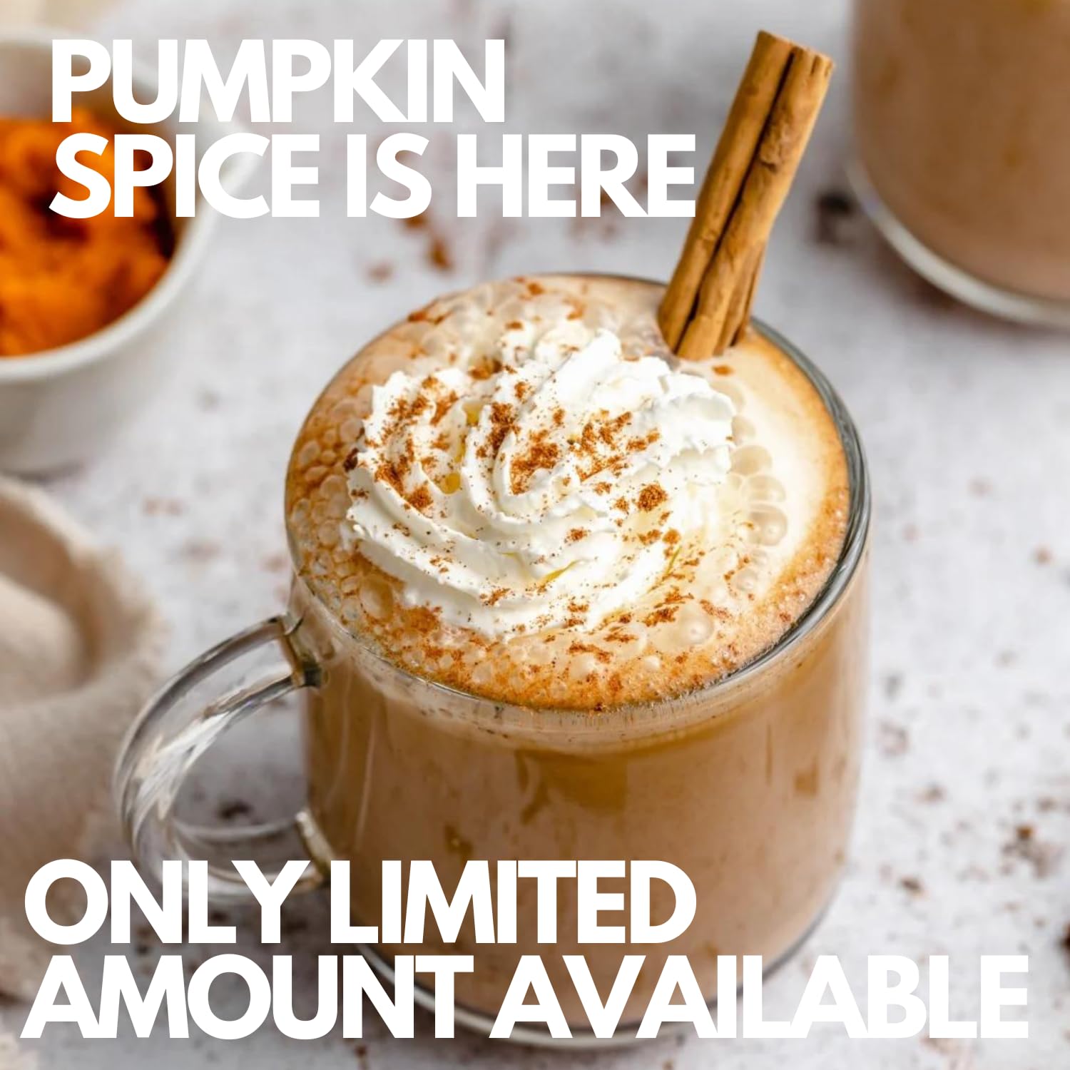 Sarasota Coffee Ground Packets | Gourmet Flavored Medium Roast Bulk Coffee Packs | Pumpkin Spice | Low Acid Mold Free Singles Individual Pouches