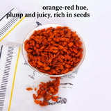MOCKRAND Sea Buckthorn Berry 7.05Oz/200g, Sea Buckthorn Tea, Dried Seaberry, Seabuckthorn, ??,Hand Picked Whole Berry Fruit