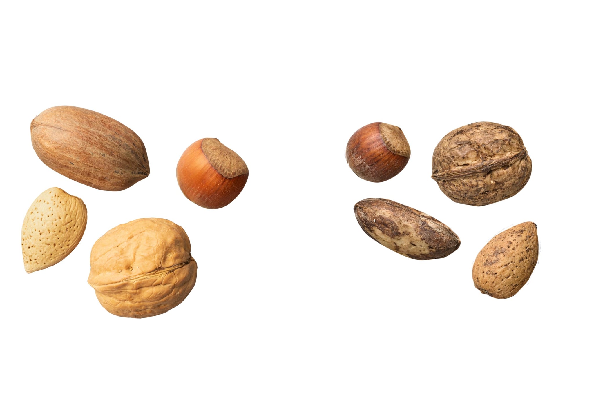 Mixed Nuts in Shell, No Brazil Nuts - 3 lb Bag, Natural, Includes Walnuts, Hazelnuts, Pecans, Almonds - Healthy Snack Sampler for Squirrels