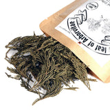 EidolonGreen [China Medicinal Herb] Leaf of Arborvitae (Green leaf of Arborvitae/Thuja/???/???/Ce bai ye) Dried Bulk Herbs (3 Oz / 88g)