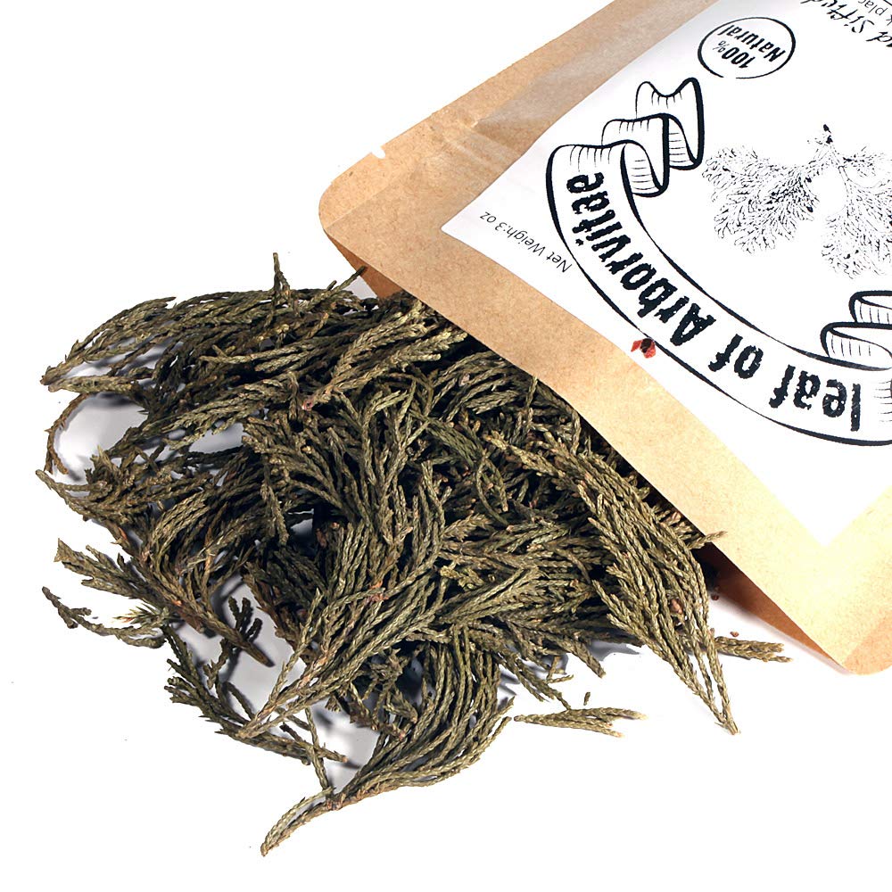 EidolonGreen [China Medicinal Herb] Leaf of Arborvitae (Green leaf of Arborvitae/Thuja/???/???/Ce bai ye) Dried Bulk Herbs (3 Oz / 88g)