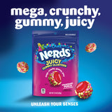 Nerds, Juicy Gummy Clusters, Strawberry Punch, Juicy and Gummy Candy, 1 Stand up Bag, for Snacking and Sharing, 7.2 Ounce