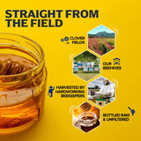 Fischer's Pure Clover Honey 40 oz - 100% Pure, Raw and Unfiltered Honey in a Squeeze Bottle - All-Natural Sweetener - Rich Flavor Profile, Packed with Nutrients