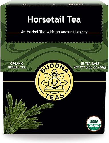 Buddha Teas - Horsetail - Organic Herbal Tea - For Cognitive Balance & Overall Health - With Antioxidants, B Vitamins & Silica - Caffeine Free - 100%