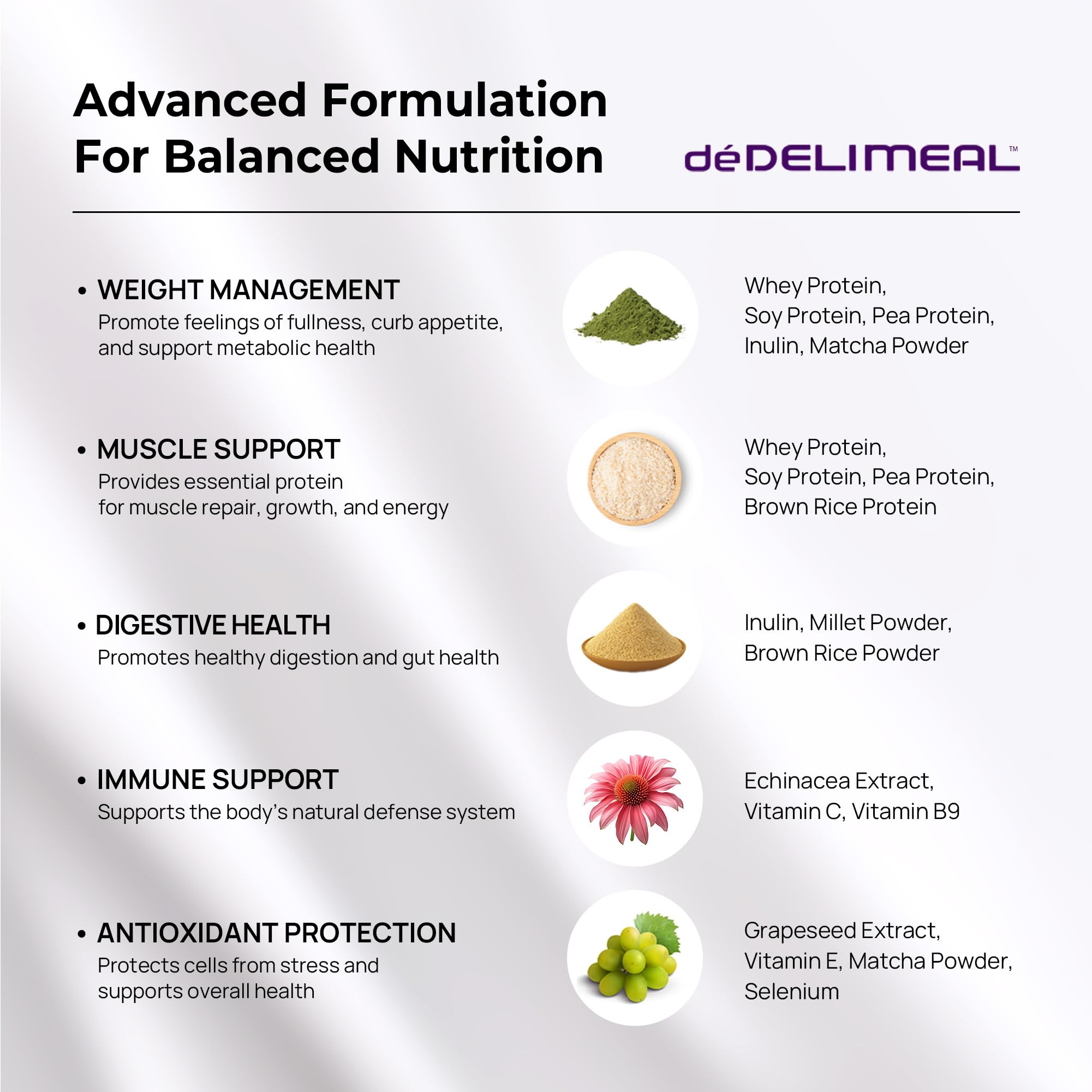 LUQUA deDelimeal - Complete Nutritional Drink Mix | Plant-Based Formula with Protein, Fiber, and Multivitamins | Convenient Daily Meal Support | 15