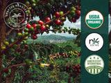 Artizan Coffee USDA Organic Espresso Coffee Capsules For Nespresso Original | French Vanilla Flavored | 20 Compatible Compostable Pods