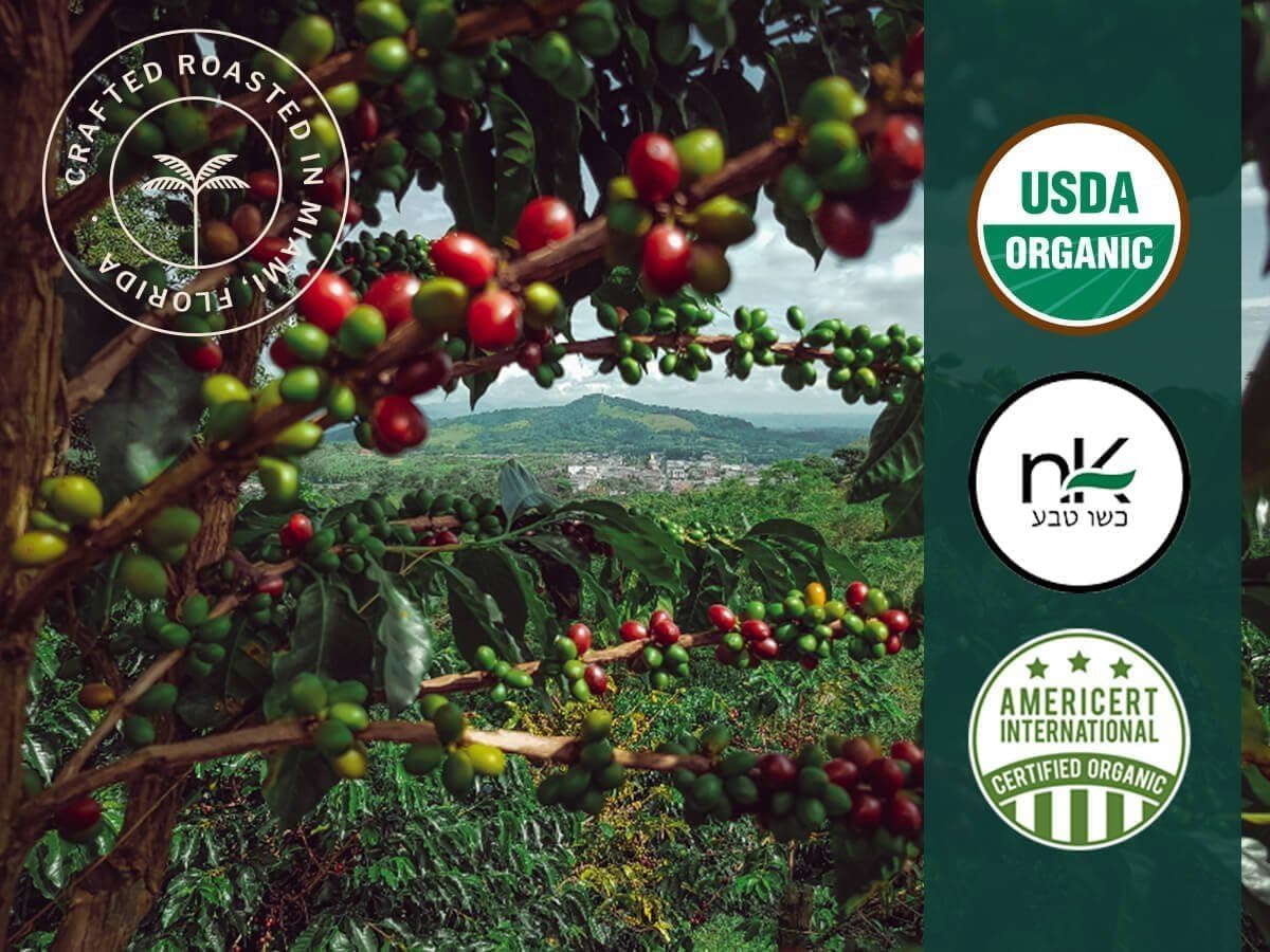 Artizan Coffee USDA Organic Espresso Coffee Capsules For Nespresso Original | French Vanilla Flavored | 20 Compatible Compostable Pods