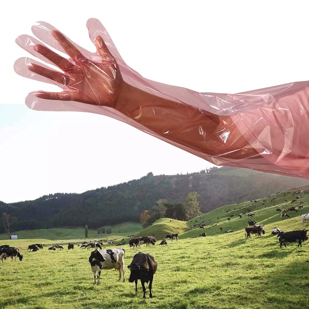 BUBQD 50PCS Veterinary Artificial Insemination Gloves Long Rectal Breeder Sleeve Disposable Gloves 34 Inch Calving Field Dressing Shoulder