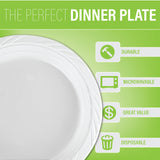 Blue Sky 241 100 Disposable Plastic Plates, 9-Inch, White (200 Count), 200 PACK