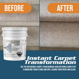 CarpetGeneral - Heavy Duty Carpet Stain Remover 4285 - Easy Clean and Professional Carpet Cleaner Products - Residential & Commercial Multi-Purpose