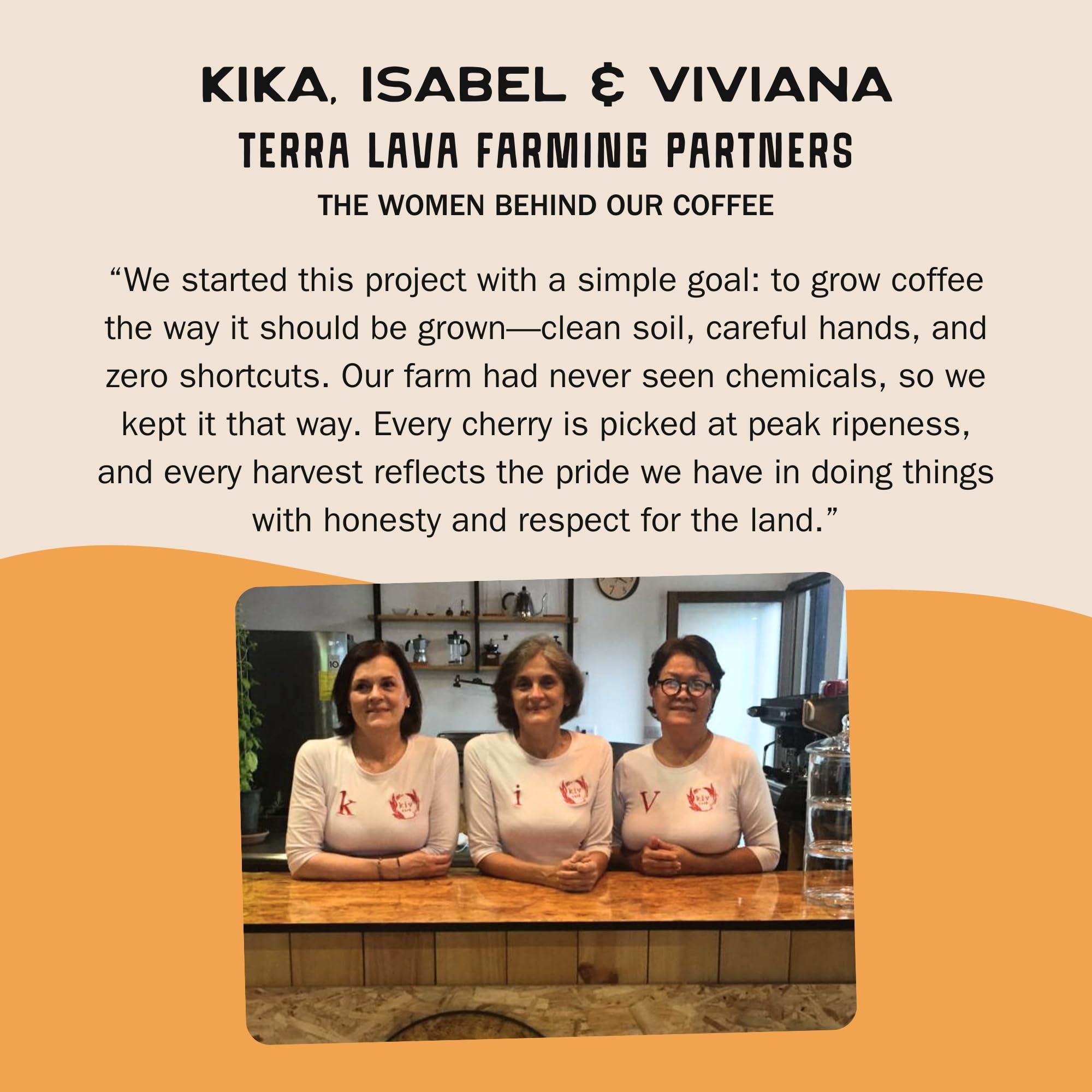 Terra Lava Coffee - Dark Roast Whole Bean Coffee, Single-Origin Costa Rican Arabica, Volcanic Soil Grown, Honey-Processed, Tested for Mold