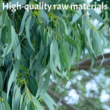 Dried Eucalyptus Leaves - 4oz (114g) Whole Leaf | Resealable Pouch | Botanical Ingredient for Aromatherapy & Tea Blends | Caffeine-Free Plant Material