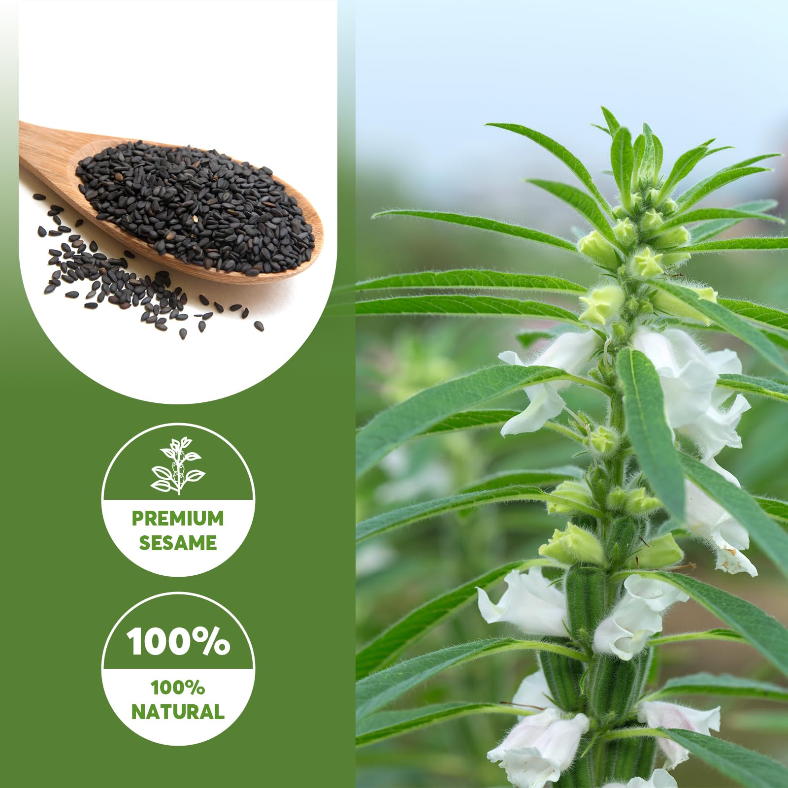 ONETANG Organic Black Sesame Powder,Plant Based,Gluten-Free,Vegan,Protein Source No Sugar,Low Temp Roasted,Halal,Non-GMO,Black Sesame Paste 12.36 Oz