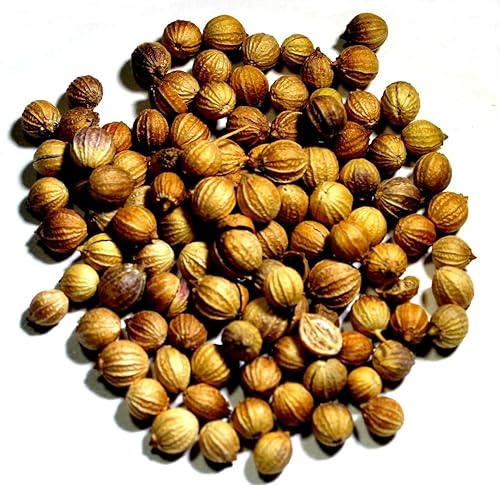 Nelson's Tea - Coriander Seed - Whole (1 oz)