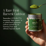 Encha Matcha Tea Okumidori Limited Edition Reserve - Ceremonial Grade Matcha Powder - Single Origin - Premium First Harvest Organic, Japanese