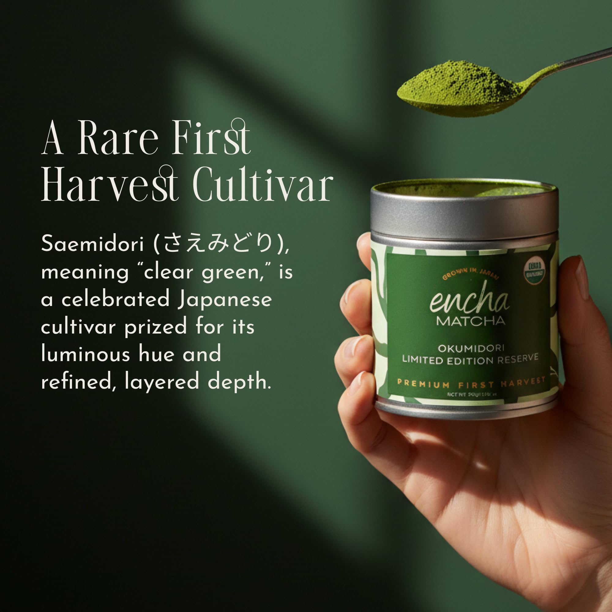 Encha Matcha Tea Okumidori Limited Edition Reserve - Ceremonial Grade Matcha Powder - Single Origin - Premium First Harvest Organic, Japanese