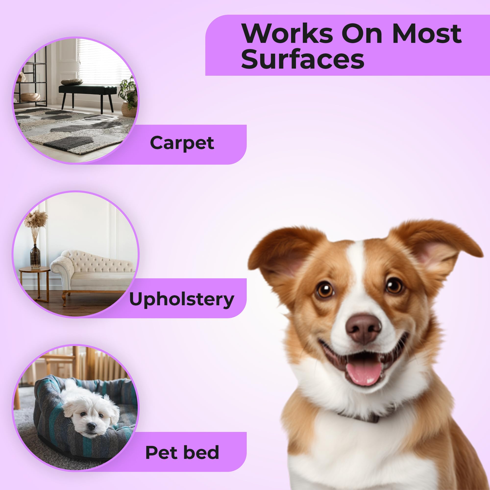 Aromasong Carpet Deodorizer Powder- 100% Natural Lavender Carpet Freshener - Safe For Pets - Upholstery Deodorizer - Effective Pet Odor Eliminator