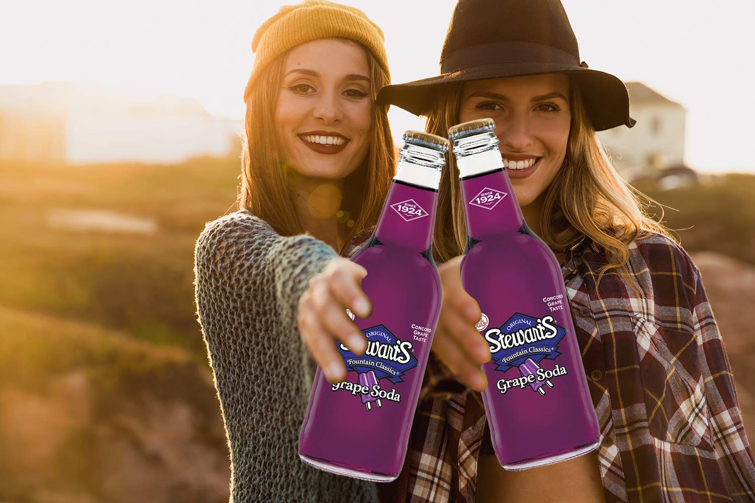 Stewart's Grape Soda, 12 fl oz (12 Glass Bottles)