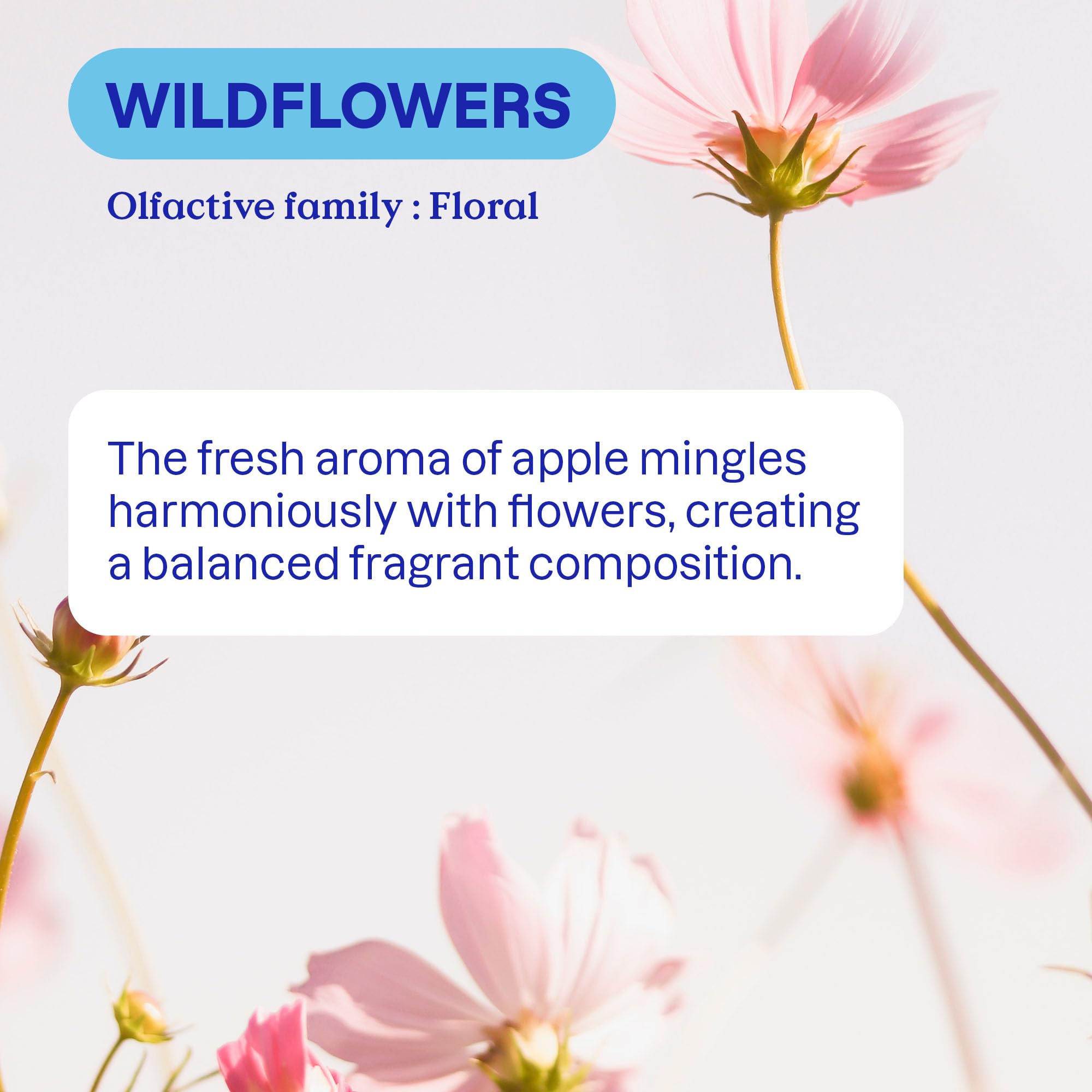 ATTITUDE Liquid Laundry Detergent Refill, EWG Verified, HE Compatible, Plant-Based & Vegan, Natural Laundry Soap, Wildflowers Scent, 80 Loads, 67.6 Fl