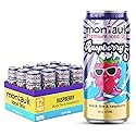 Montauk Premium Iced Tea, Ready-to-Drink Tea, 16 fl oz Cans (Pack of 12, Raspberry)