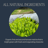 Rishi Tea Everyday Matcha - Organic Japanese Daily Matcha Green Tea Powder for Cafe-Quality Matcha Drinks, Hot or Iced - 1.05 Oz Tin