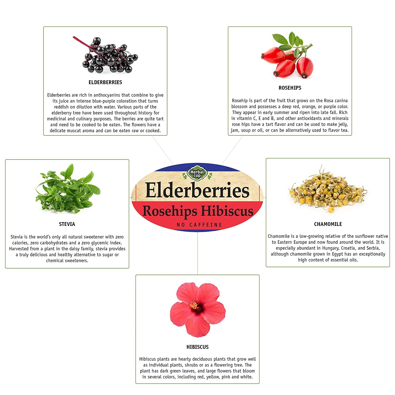 Herbal Cup Ayurveda Elderberries Tea, Organic Rosehips Hibiscus, No Caffeine Herbal Supplement (16 Count, Pack of 1)