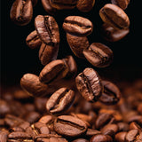 Mont Coffee Ecuador Single Origin Galapagos - Rare Volcanic Island Arabica Whole Bean Coffee, Hand-Harvested Santa Cruz Highlands, Medium Roast