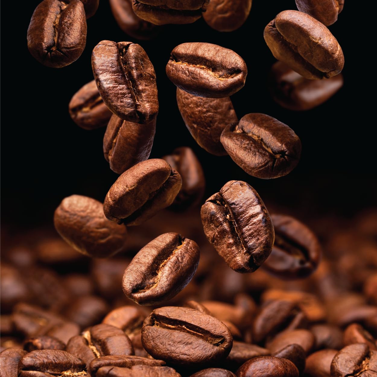 Mont Coffee Ecuador Single Origin Galapagos - Rare Volcanic Island Arabica Whole Bean Coffee, Hand-Harvested Santa Cruz Highlands, Medium Roast
