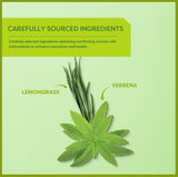 Wissotzky Lemongrass & Verbena Green Tea (6 Pack - 120 Tea Bags) | Soothing Aroma | Antioxidant Rich | Refreshing Green Tea Bags