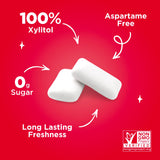 PUR 100% Xylitol Chewing Gum, Cinnamon, 55 Pieces per Bag - Sugar-Free + Aspartame Free, Vegan + non GMO