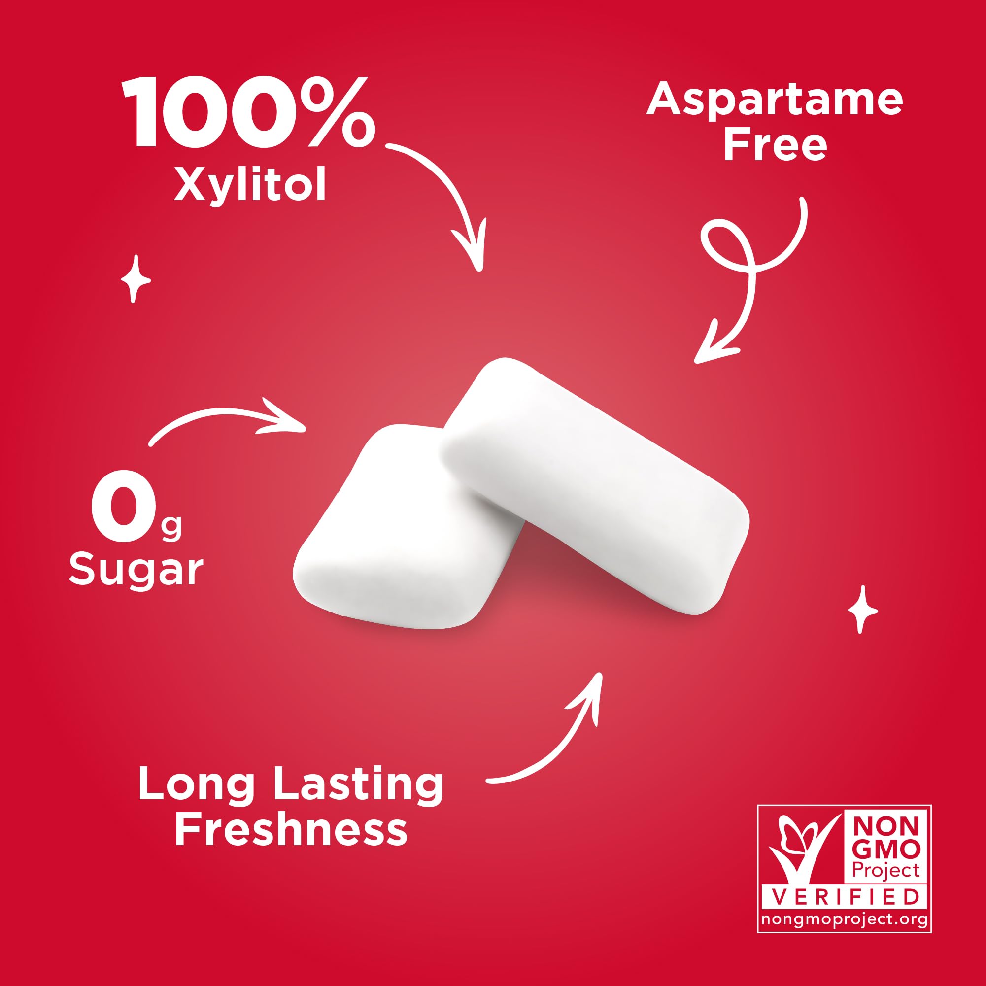 PUR 100% Xylitol Chewing Gum, Cinnamon, 55 Pieces per Bag - Sugar-Free + Aspartame Free, Vegan + non GMO