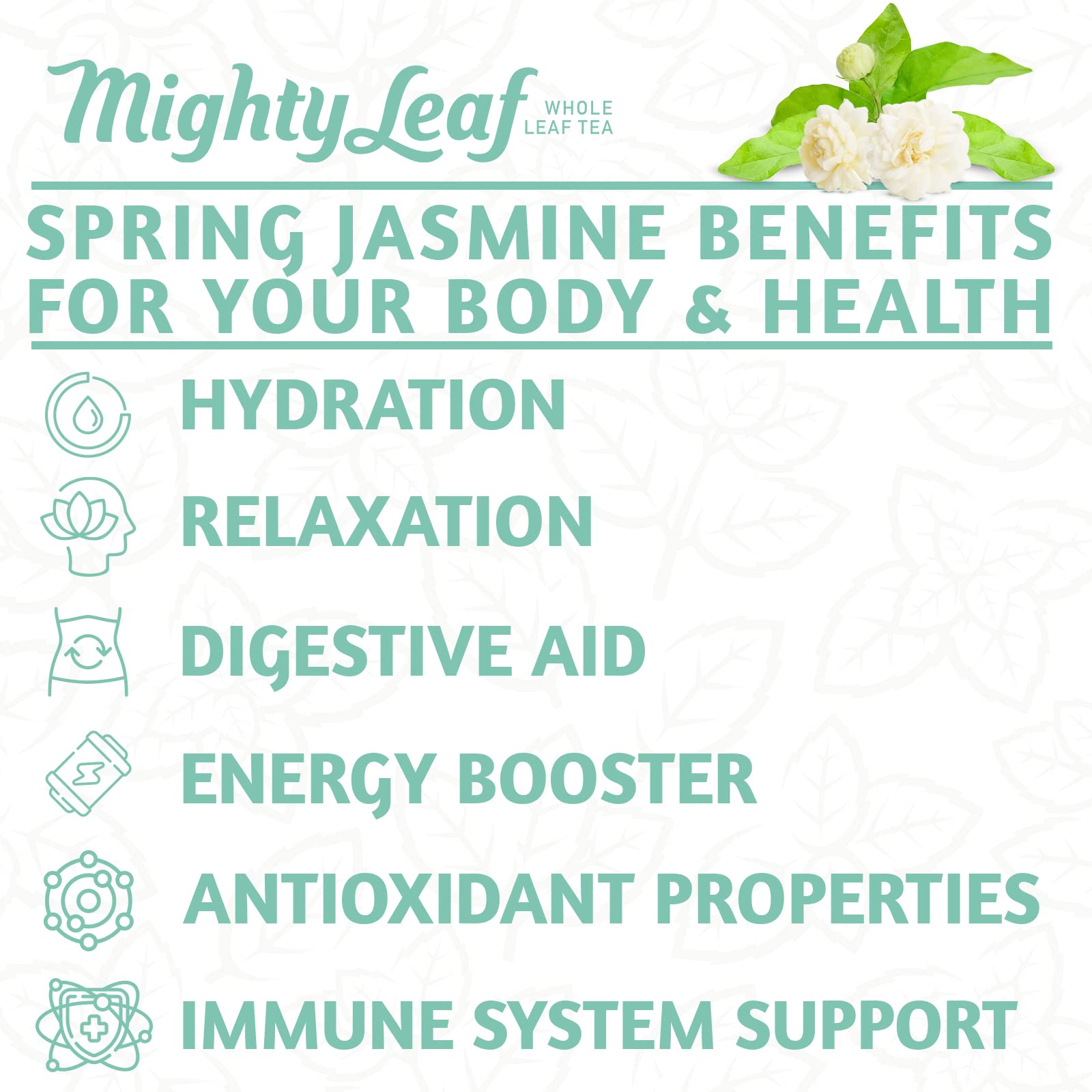 Mighty Leaf Spring Jasmine Green Tea - Premium - Foil Wrapped for Freshn - 100 Count Tea Pouches - Premium Green Tea with Rich Flavor - Individually