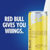 Red Bull Summer Edition Energy Drink, 114mg Caffeine, Taurine & B Vitamins, 12oz. 4 Pack