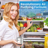 Effective Fridge Deodorizer - 2 Pack Refrigerator Odor Eliminator, Lasts 10 Years, Chemical-Free Fresh Odor Eliminator Kit, More Effective Than Baking