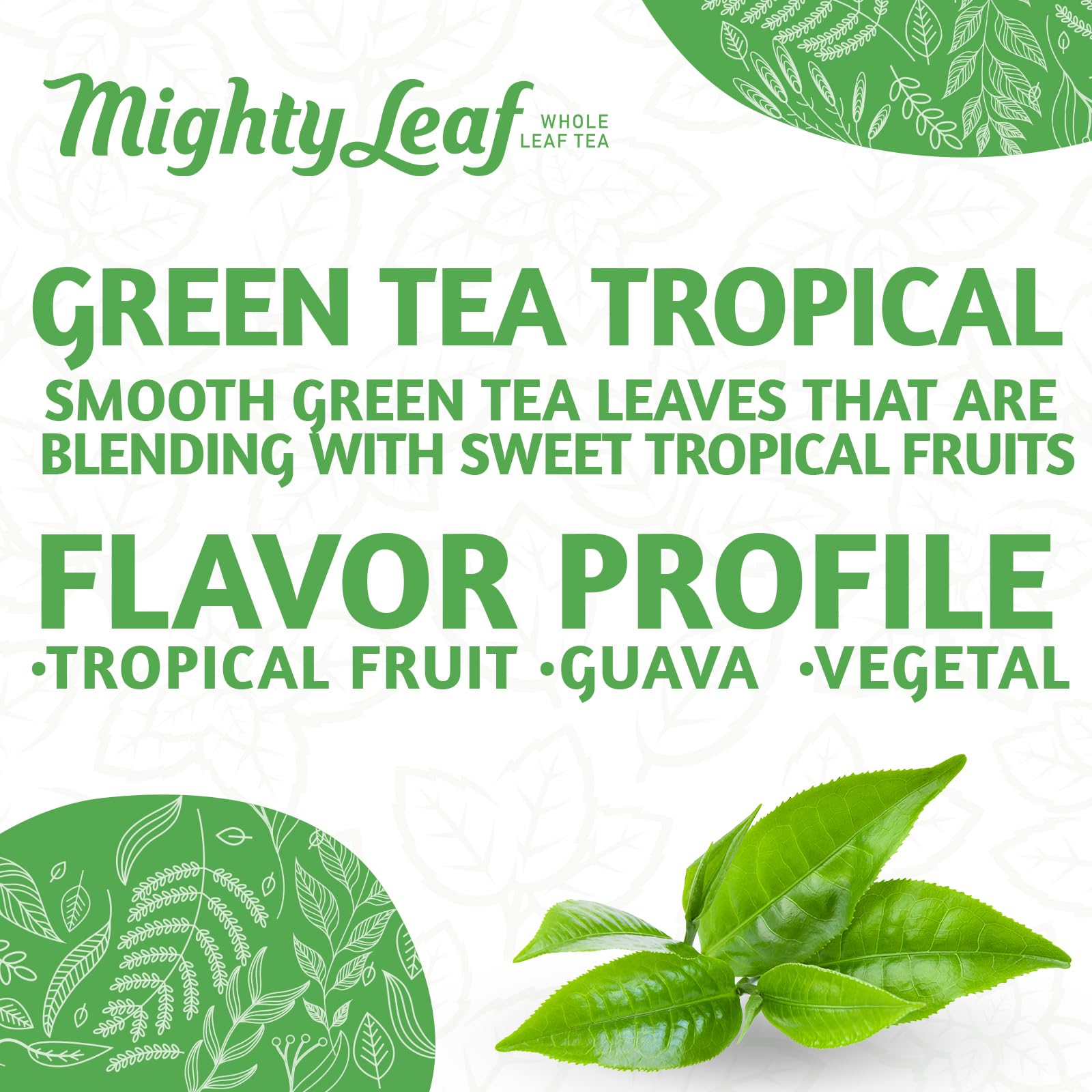 Mighty Leaf Green Tea Tropical - 100 Count Whole Leaf Green Tea Bags - Pyramid Sachets with Pineapple, Tropical Fruit & Floral Flavors