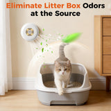 Photocatalytic Cat Litter Box Deodorizer - Ozone-Free Pet Odor Eliminator, Ultra-Quiet Air Purifier for Small Pet Areas, No Chemicals or Fragrances